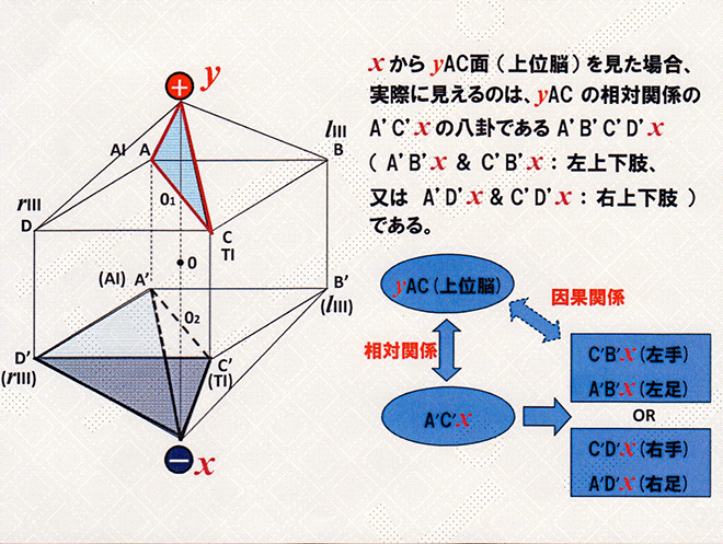 上位脳障害の説明