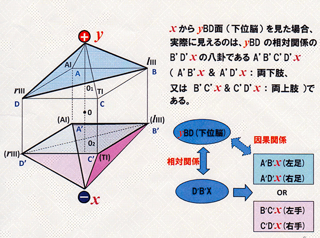 下位脳障害の説明